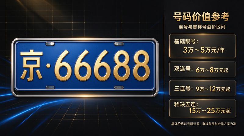 团队成员王五